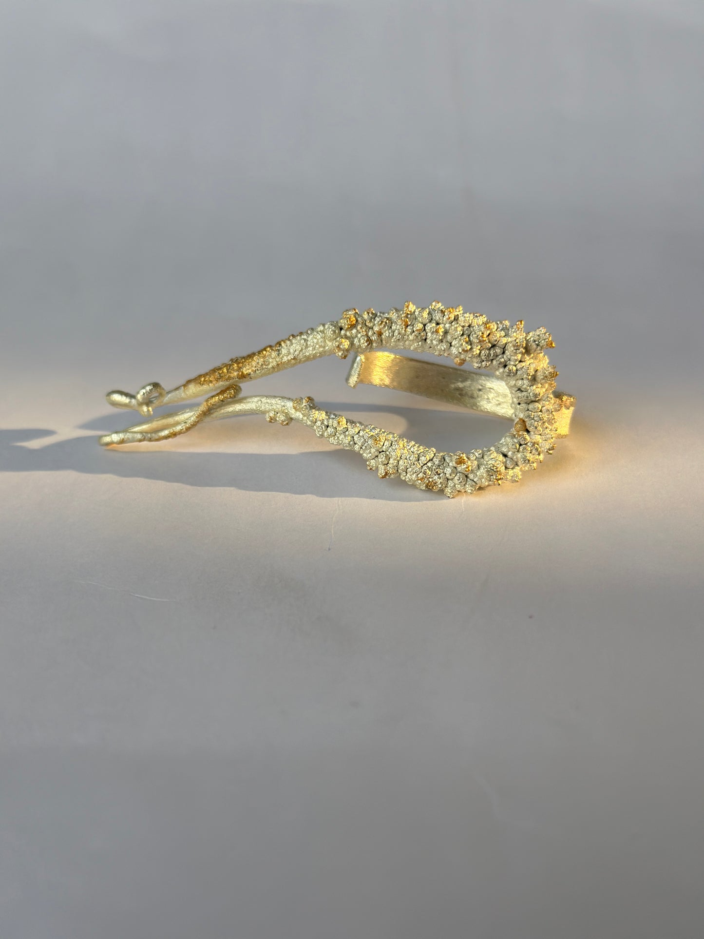 Manthan Pisces 2-finger ring