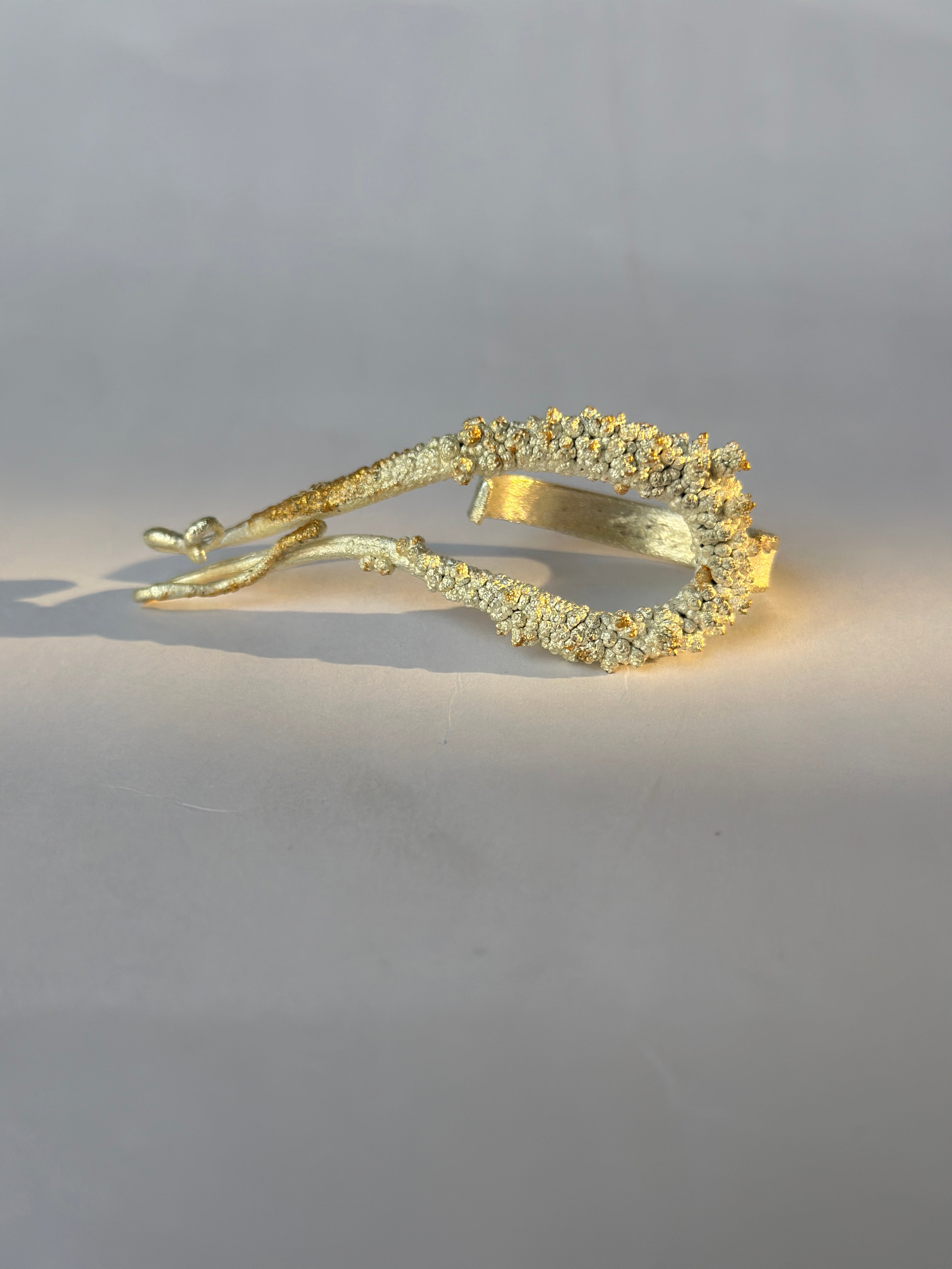 Manthan Pisces 2-finger ring