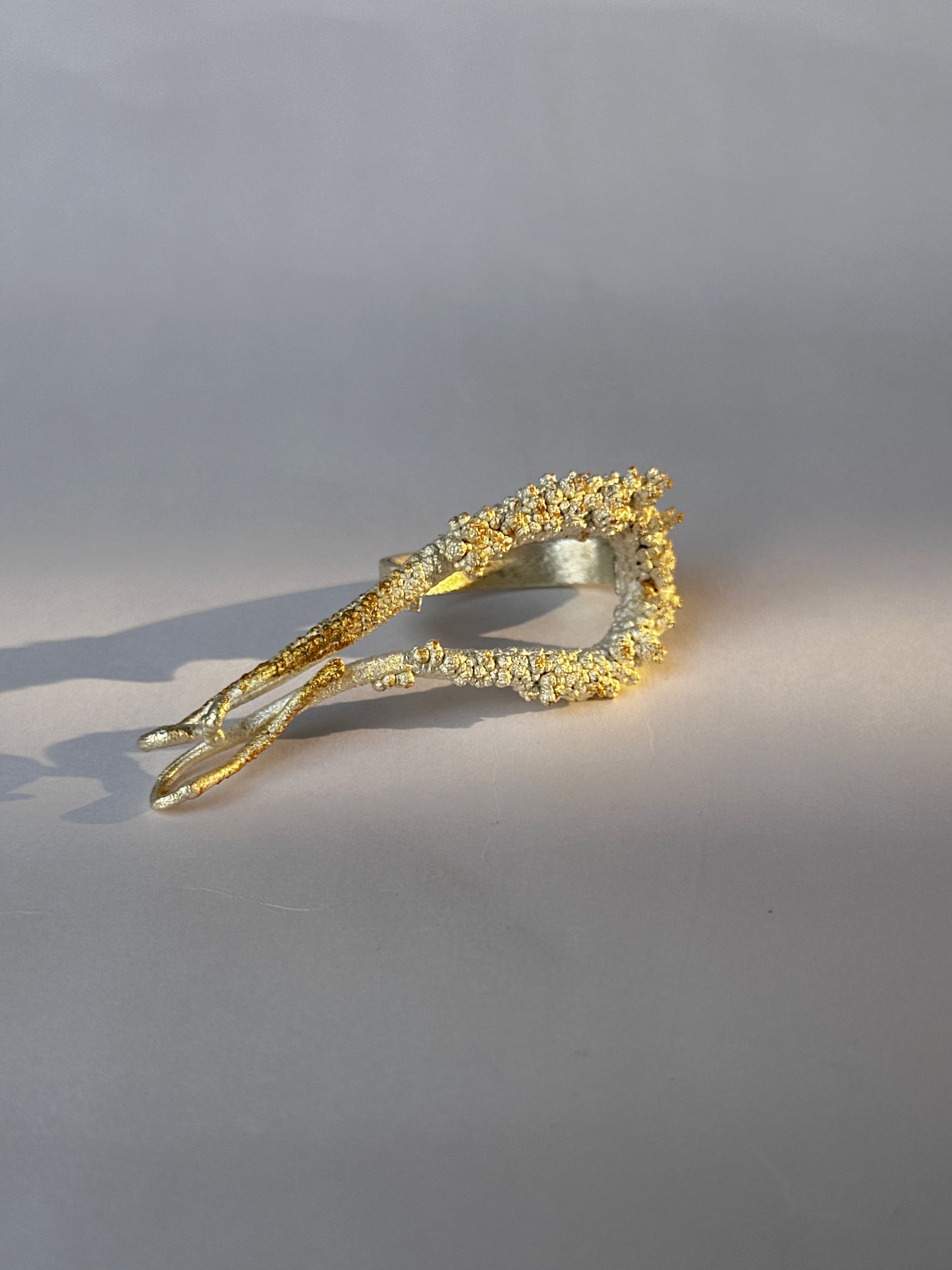 Manthan Pisces 2-finger ring