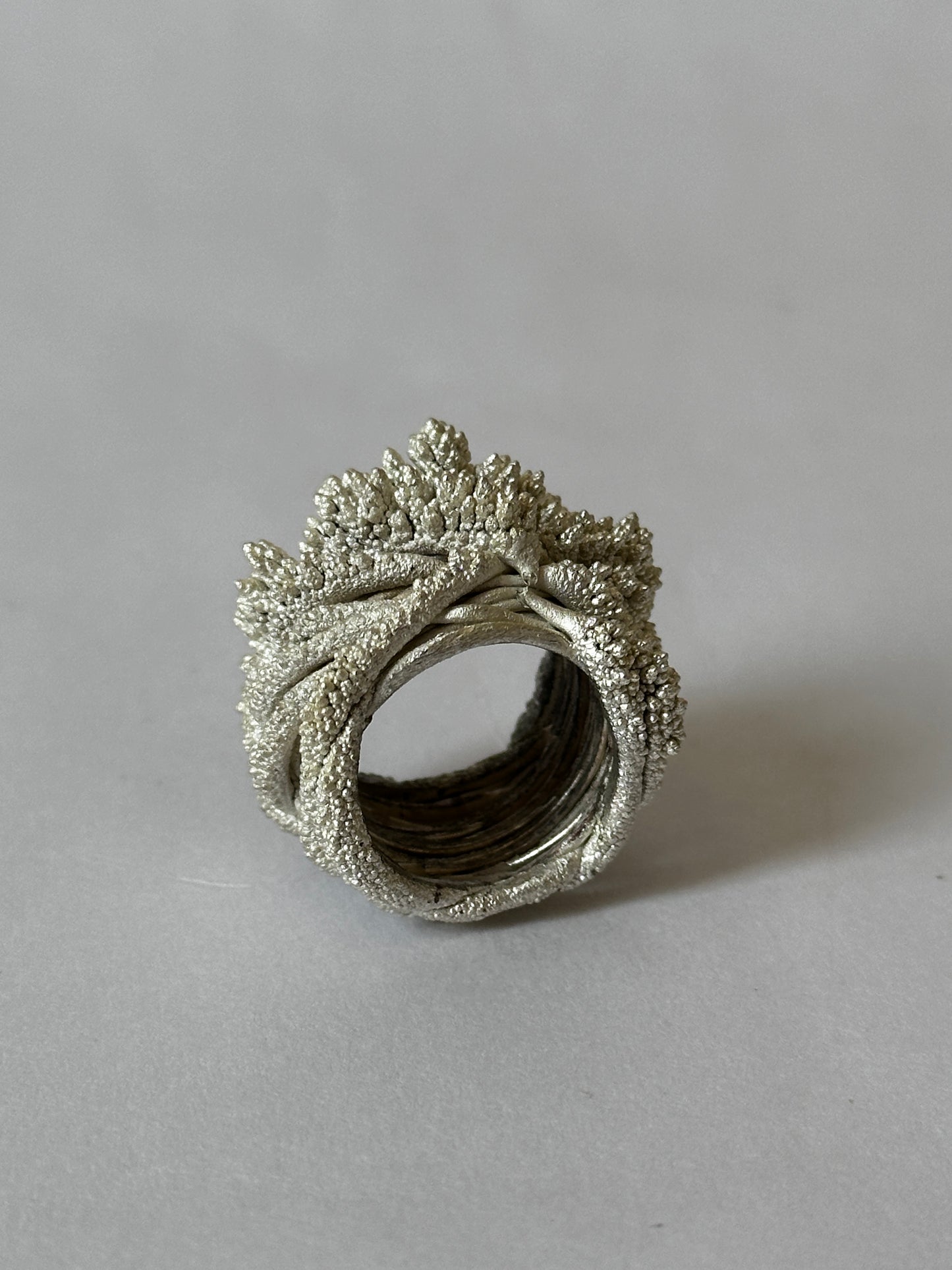 Kailash Terrain Ring