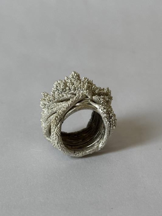 Kailash Terrain Ring