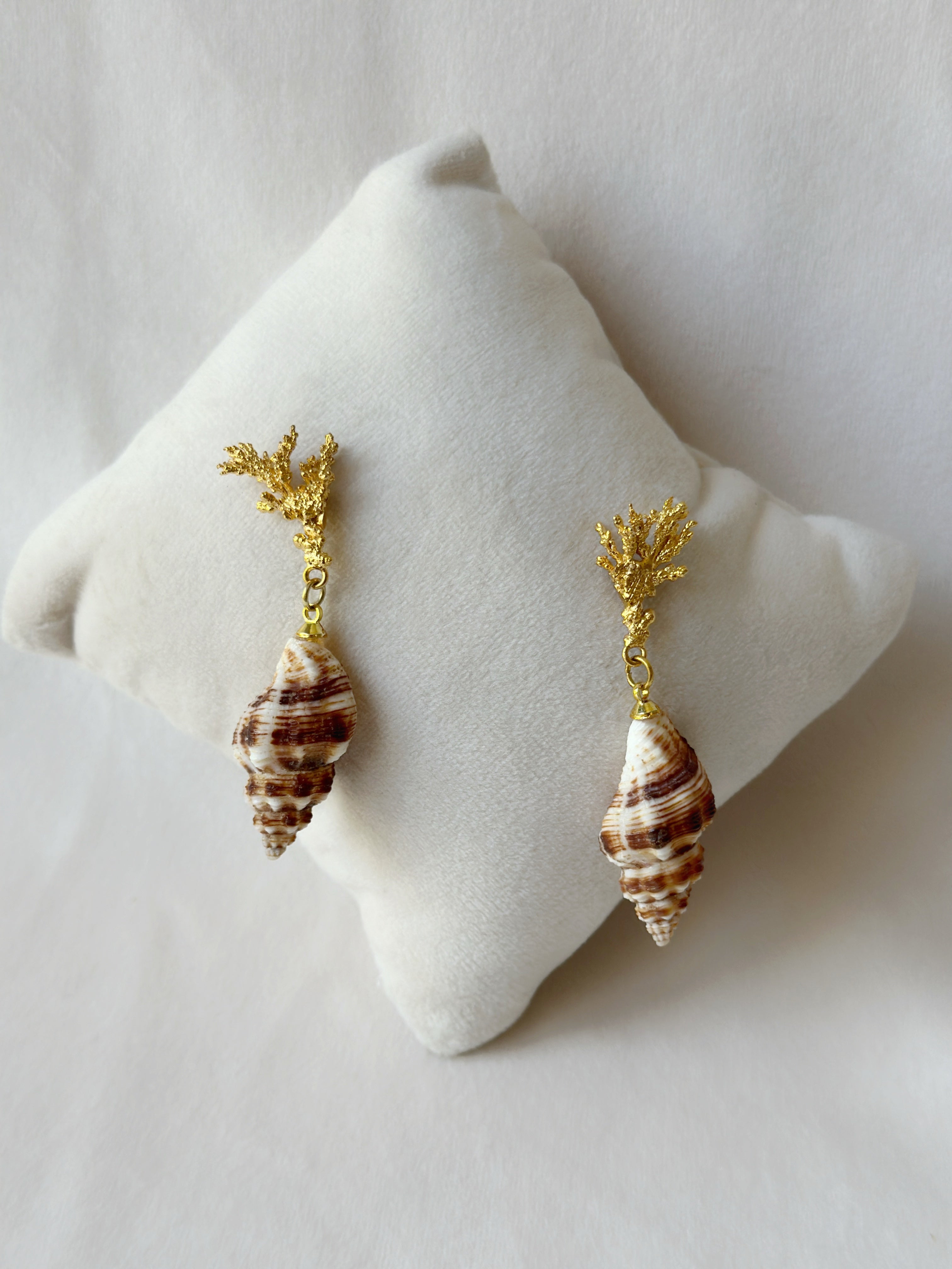 Seafloor - Coralline Seashell earrings - Gold