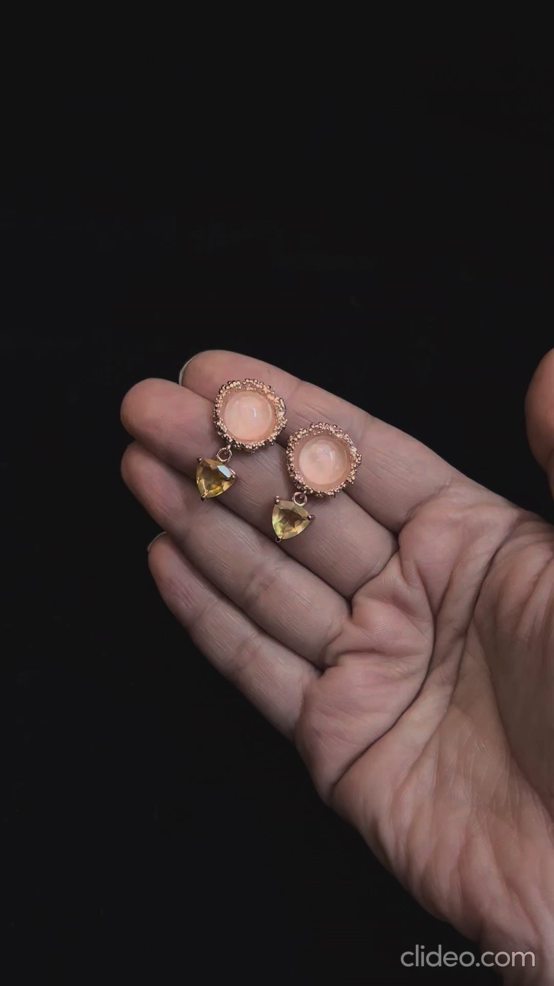 Rosehip Earrings